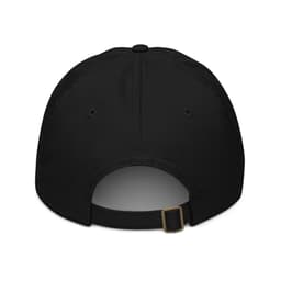 The Analog Dam - Hat - organic-baseball-cap-black-back-6583522e2f4de