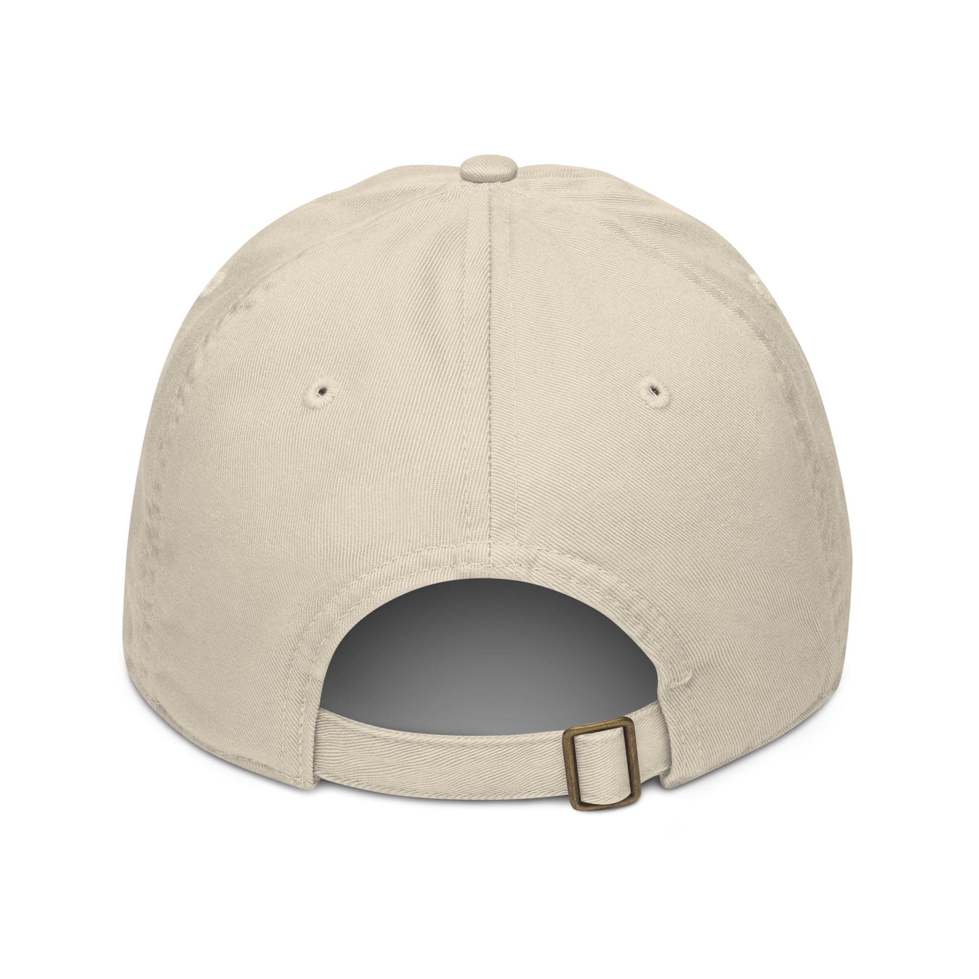 The Analog Dam - Hat - organic-baseball-cap-oyster-back-6583522e2f758